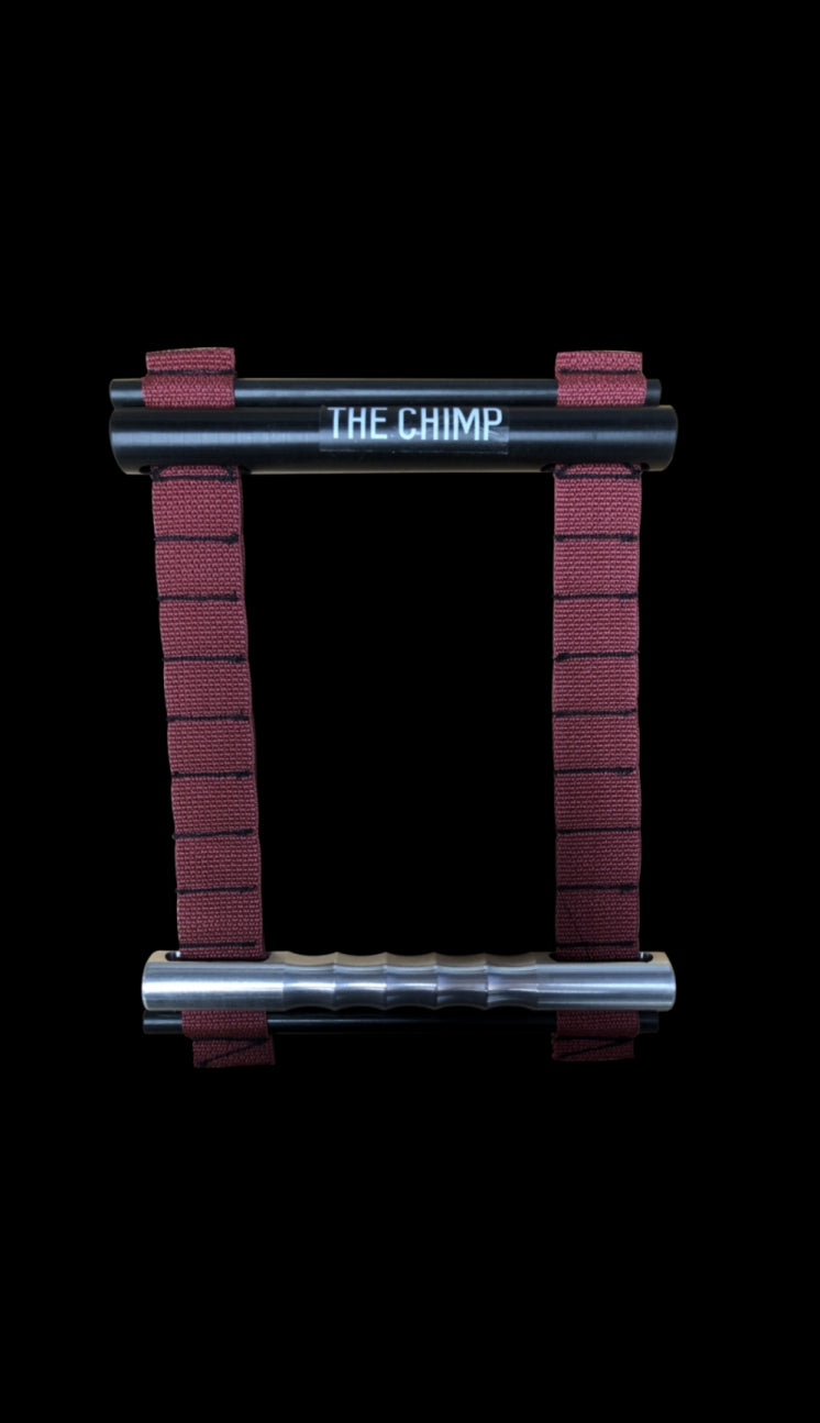The Chimp Door Hanger image 1